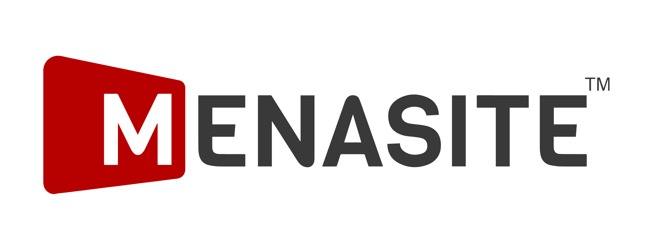 Menasite Logo